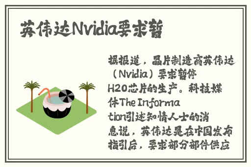 国外b站刺激战场